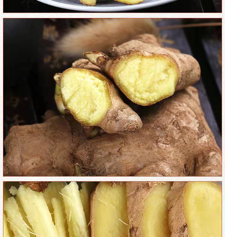 新鲜生姜老姜黄姜正宗老姜老母姜泥土姜月子姜现挖现发超低批发价 5斤