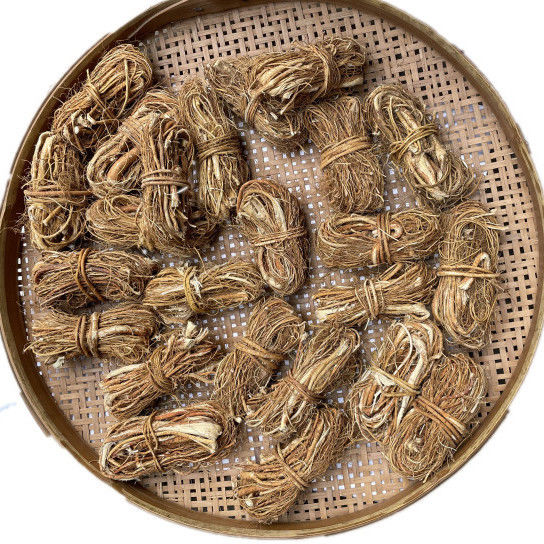 五指毛桃根正宗野生中药材煲汤泡酒料新鲜五指牛奶五爪龙客家特产