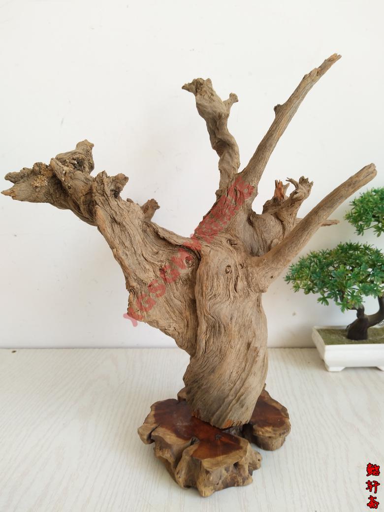 2022新款pvc内牙活接太行崖柏摆件根雕崖柏毛料原料陈化料红白料树根