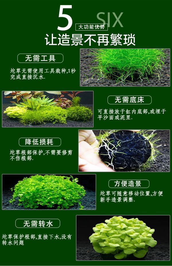 10045794997470商品名称:易养耐养好活不用水草泥的真水草活体水草
