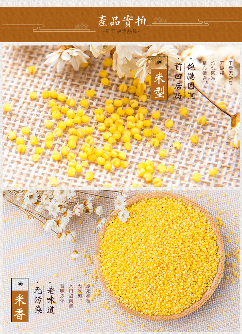 5折朝阳小米东北黄小米熬粥月子米特产五谷杂粮粗粮5斤新米