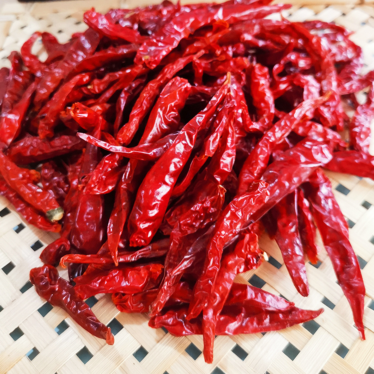 农家朝天椒干红椒本地辣椒制作2大包260克炒菜佐料配料油泼辣