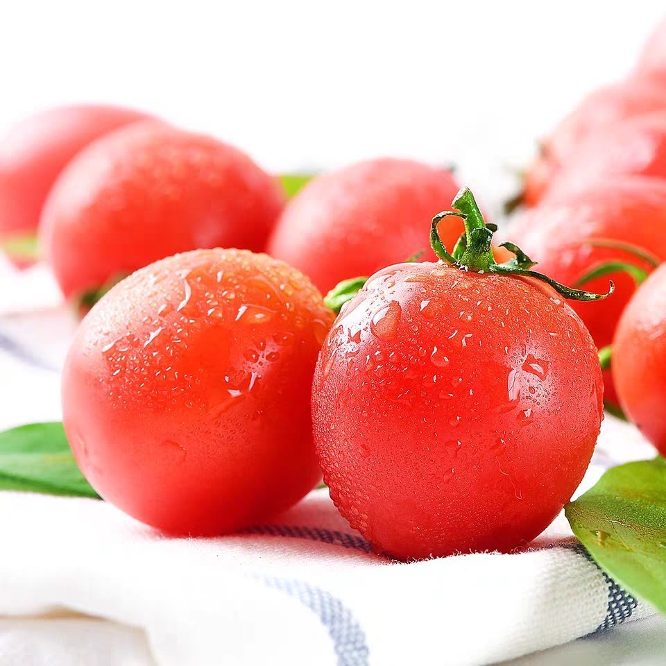 青樱红荔6斤云南圣女果小番茄小西红柿新鲜自然熟孕妇水果4/2斤 净重6