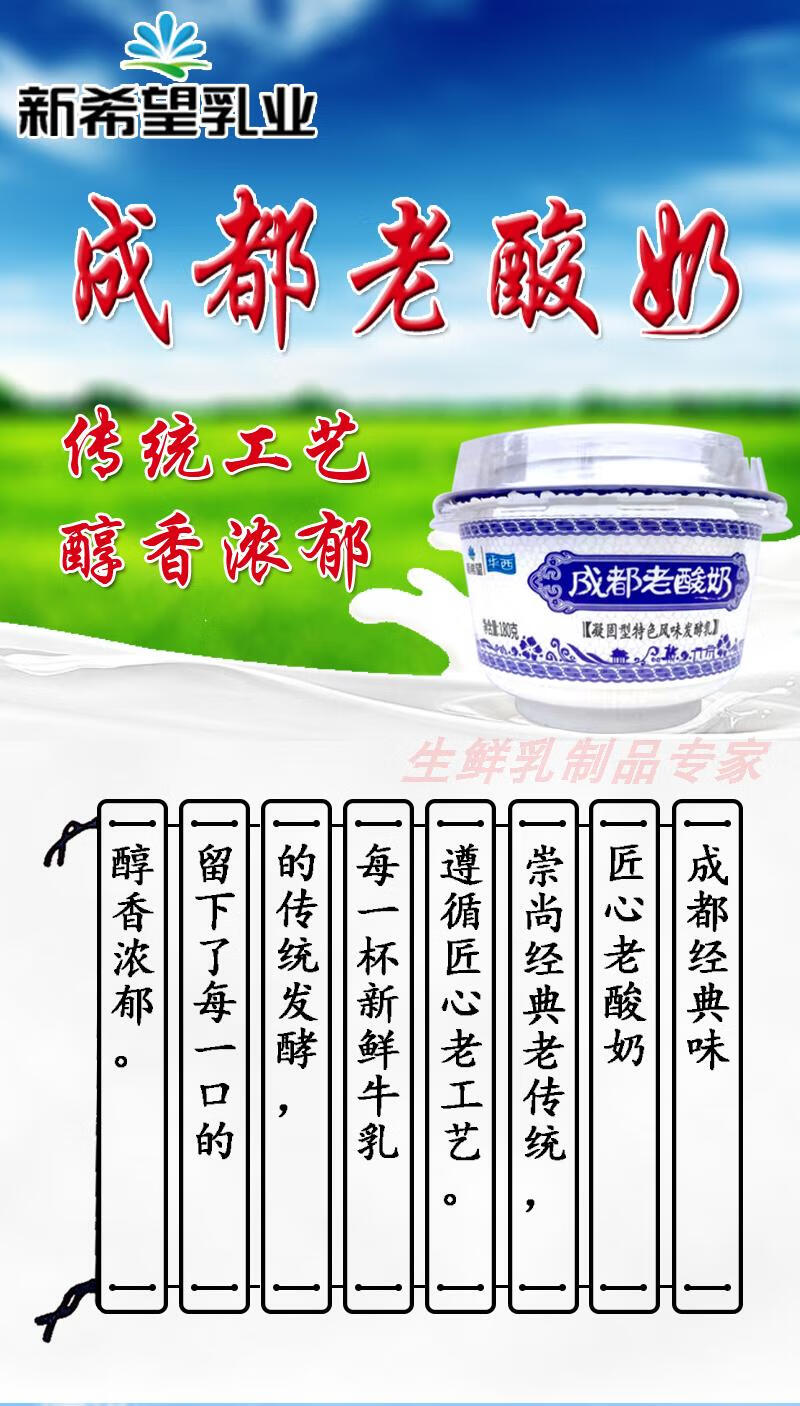 晨臻 华西成都老酸奶菌发酵乳营养早餐酸牛奶180g大碗* 12杯 180克