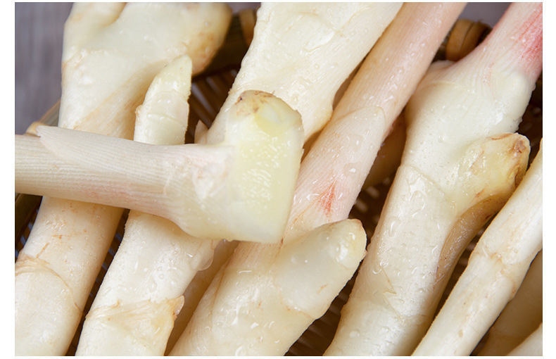 【精选果蔬】四川农家自种带泥仔姜鲜姜嫩生姜芽红芽嫩姜新姜大姜腌制