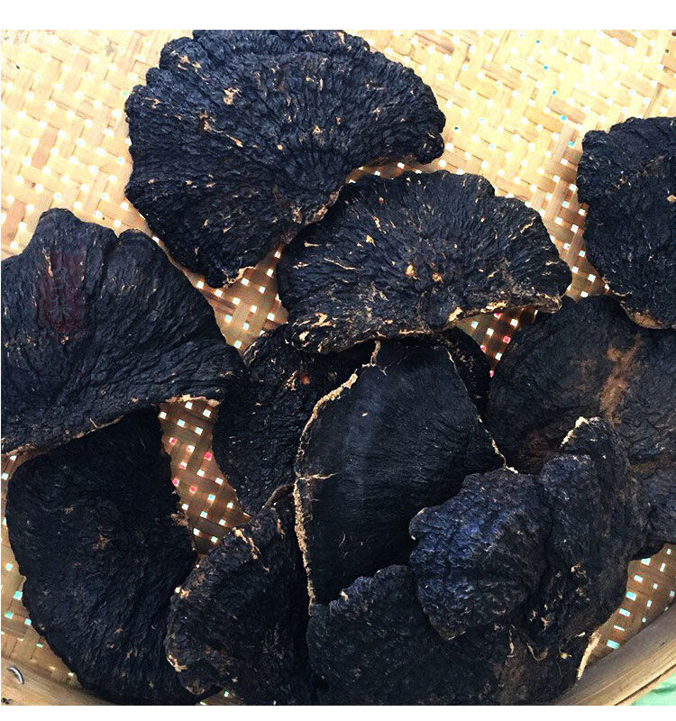 天然野生薄树芝 薄树层孔菌 薄树林芝野生薄树灵芝 野生灵芝有仁堂