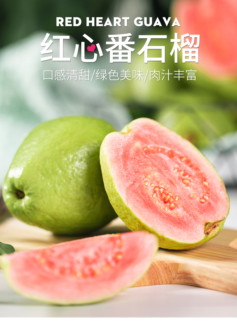 京道 红心芭乐五斤装 新鲜采摘软籽番石榴水果 又香又甜广西特产 五斤