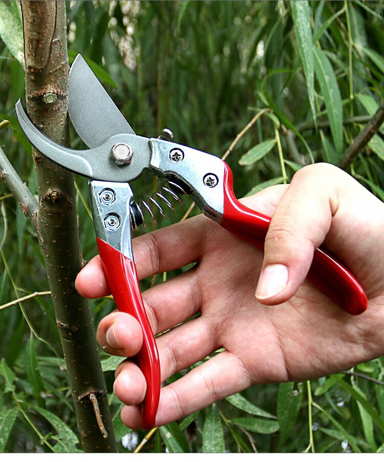 修枝剪刀果树园艺树枝种花草花匠剪子园林花园修理粗枝木剪枝绿化修剪