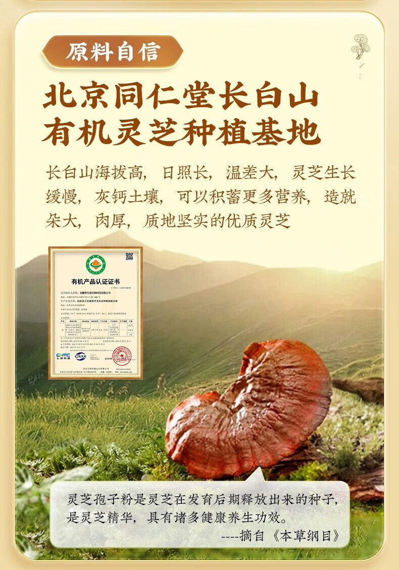 c93c43c247691a84.jpg