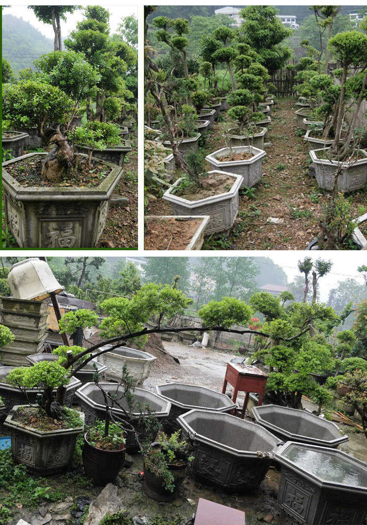 花盆模具盆水泥模具六角欧式模型塑钢磨具盆塑料混凝土盆景自制厚45长