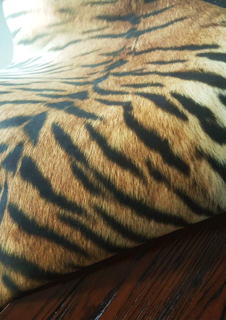整张牛皮地毯仿动物皮地毯仿真老虎皮奶牛斑马皮地毯整张豹纹房间豹纹