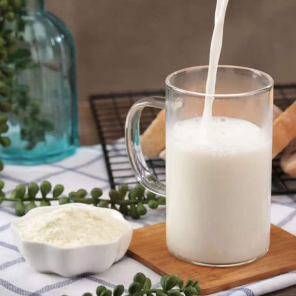 俄罗斯原装进口骆驼奶粉低脂高钙速溶袋装正宗驼奶粉500g装非新疆驼奶