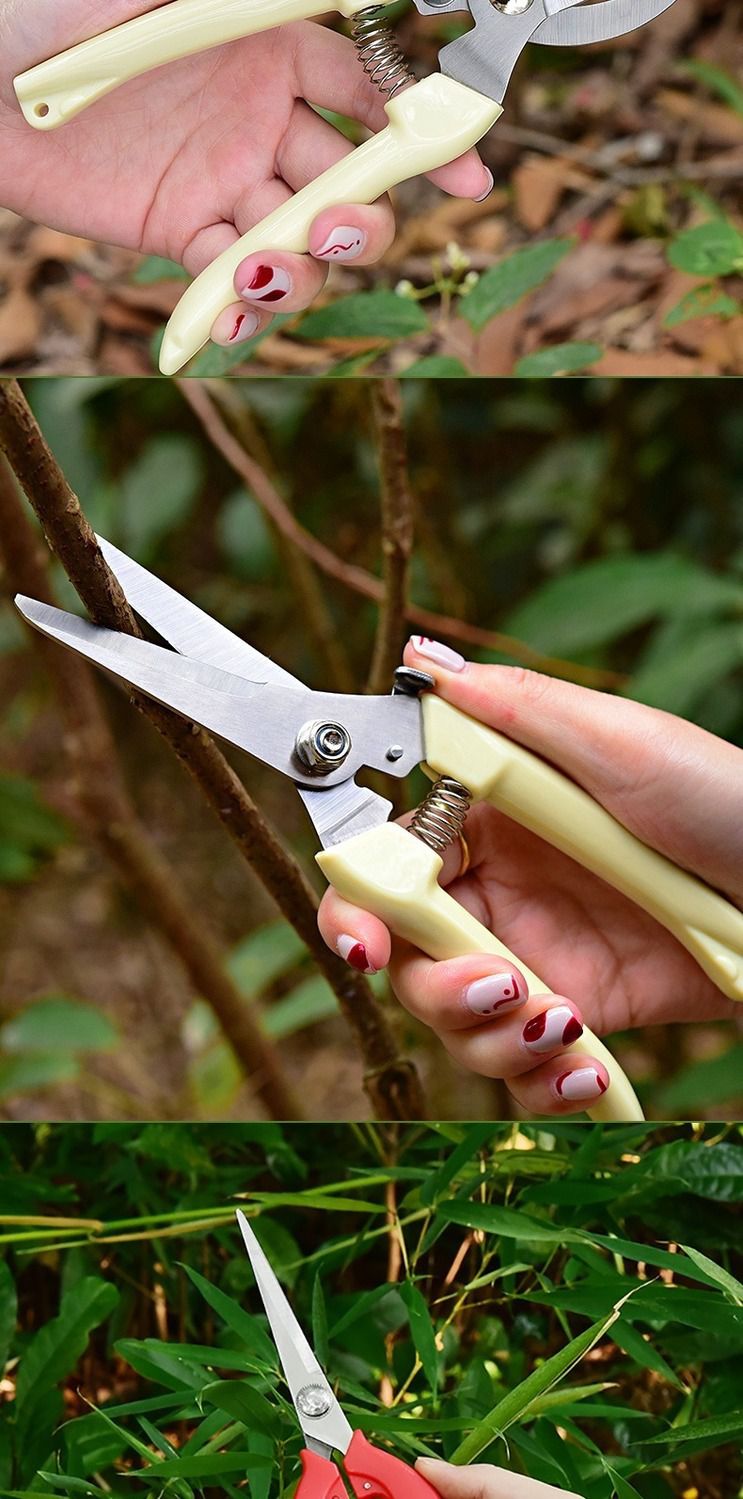 修枝剪刀园艺工具摘果树剪刀修剪树枝剪刀粗枝剪子修花卉园林剪刀大