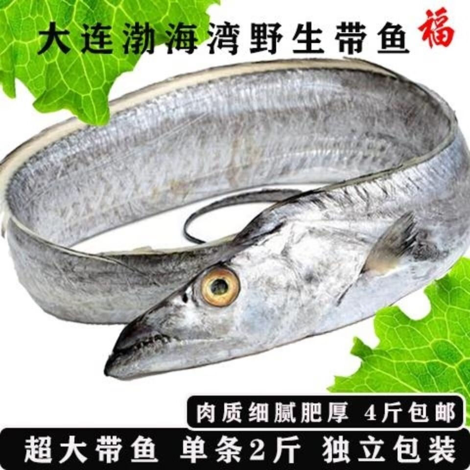 正宗渤海湾野生大刀鱼刀鱼鲜活大带鱼单条单冻无冰大刀鱼海鲜水产 4斤