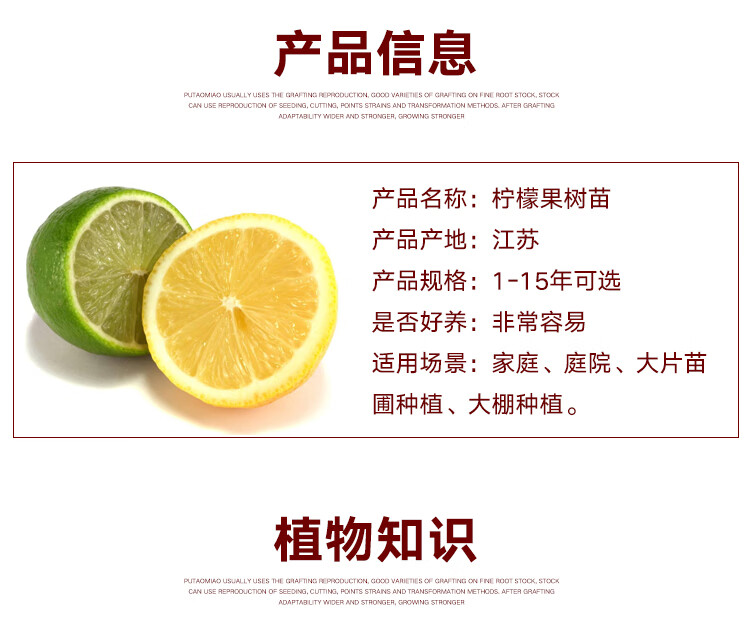 兰 蝶遇 农民老史 龙辰语 欧悟 姜南 皊洋 百诺恩 更多>> 品牌: 宝然