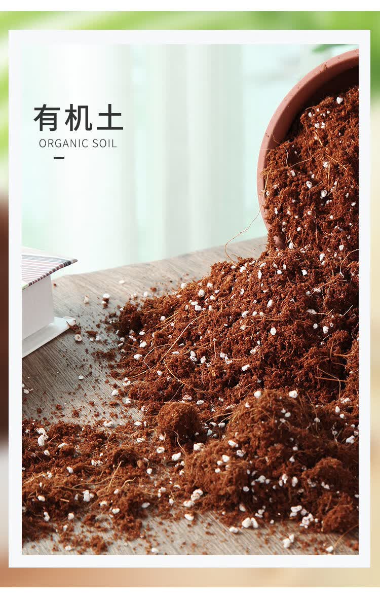 通用营养土沙质土壤酸性家用绿植种植土肥料3斤火龙果专用土半斤肥料