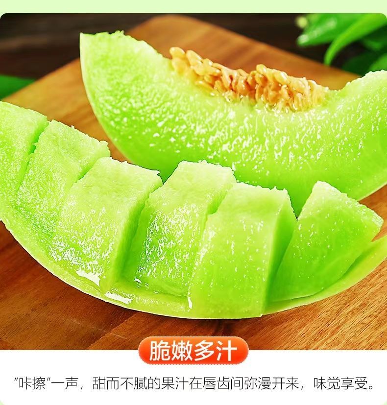 山东玉菇甜瓜新鲜孕妇水果应季头茬现摘冰淇淋奶香蜜瓜甜香瓜批发 玉