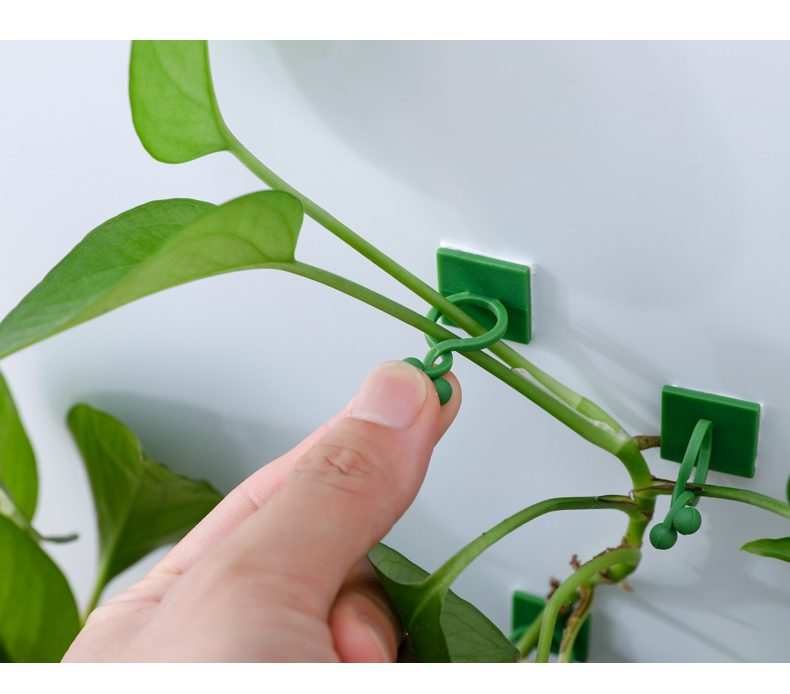 绿萝固定器挂墙绿萝爬墙神器植物固定器藤蔓夹扣卡扣长藤夹子卡子无痕
