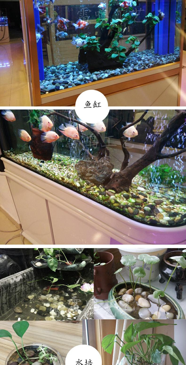 鱼缸底砂造景沙砂石河沙原生溪流石铺底石子沙子底沙雨林底沙 1-2毫米