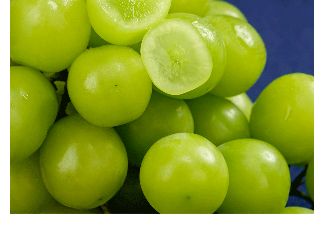 源外园晴王香印提子青提阳光玫瑰葡萄特级果礼盒装当