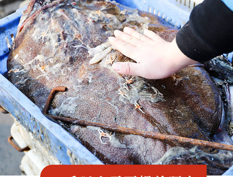 流连湾整条安康鱼带肚带肝新鲜无刺鲜活丑鱼蛤蟆鱼大嘴鱼鮟鱇鱼生鲜