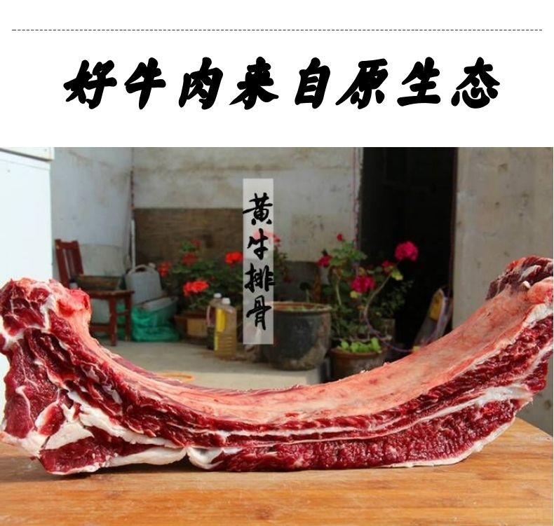 胸骨牛排骨带肉黄牛肉排骨牛肋排骨牛仔骨炖汤火锅食材现杀牛排骨15斤