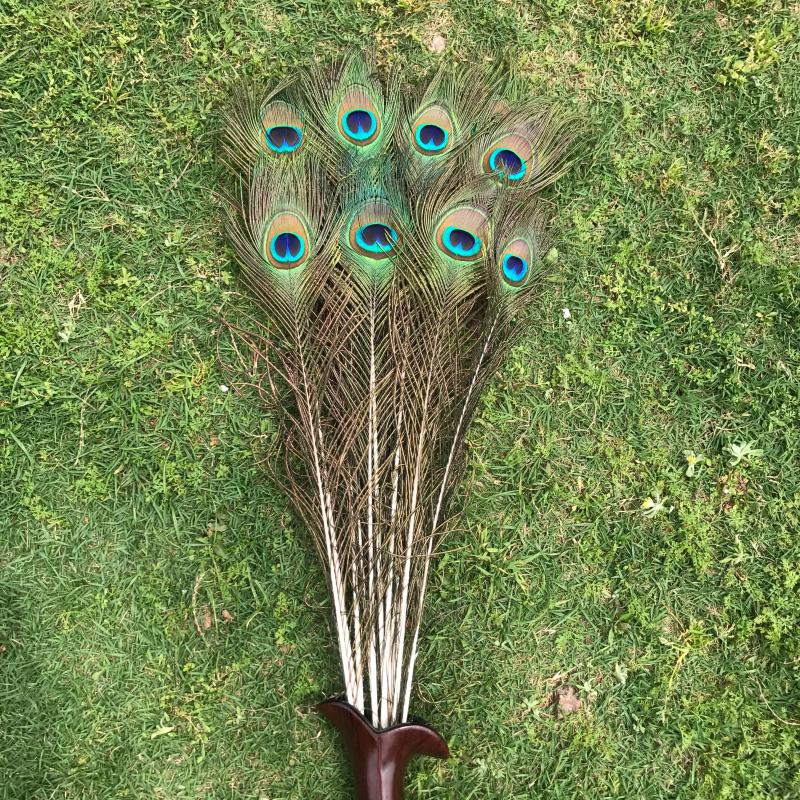 孔雀尾羽毛天然真孔雀羽毛翎尾大眼睛 客厅摆件花瓶插花装饰品diy配件