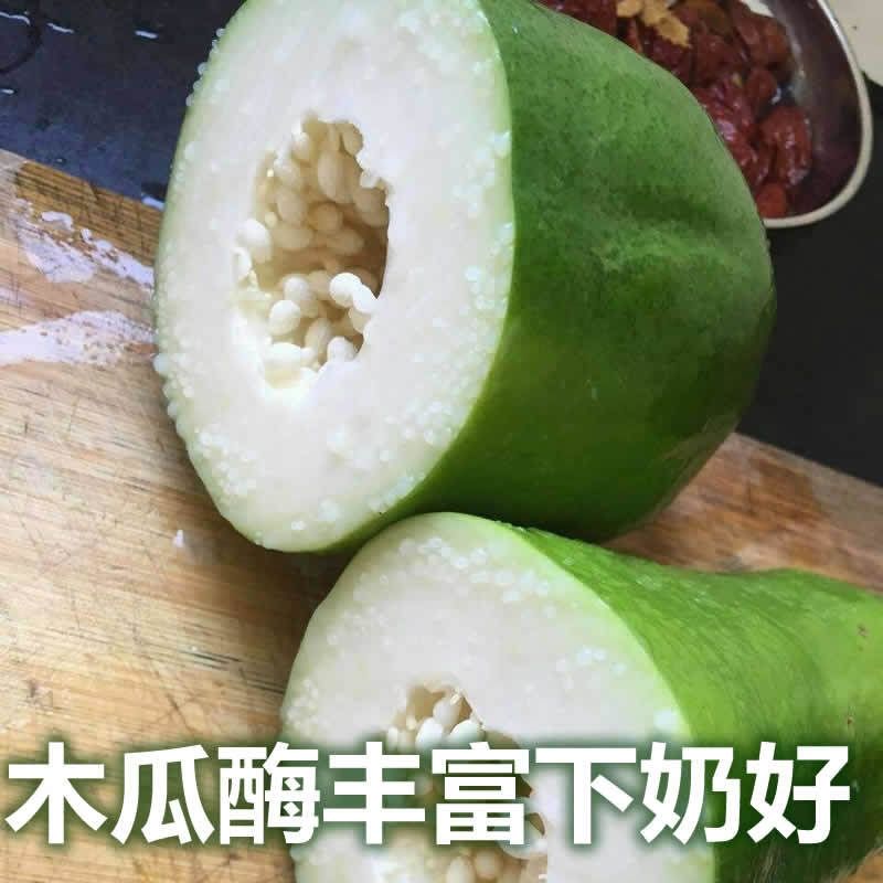 廣西青木瓜下奶專用產婦催奶醃酸木瓜新鮮水果生木瓜 試吃小果【圖片