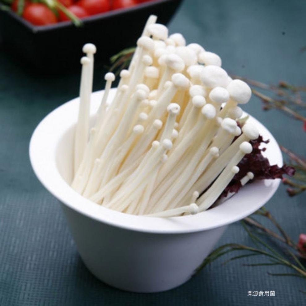 金针菇蘑菇火锅涮菜蔬菜菌菇金针菇食用菌 三袋(独立包装)2.