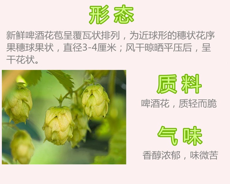 药都八方 啤酒花 新花酵母花干花店铺野生新疆自酿啤酒面包500克