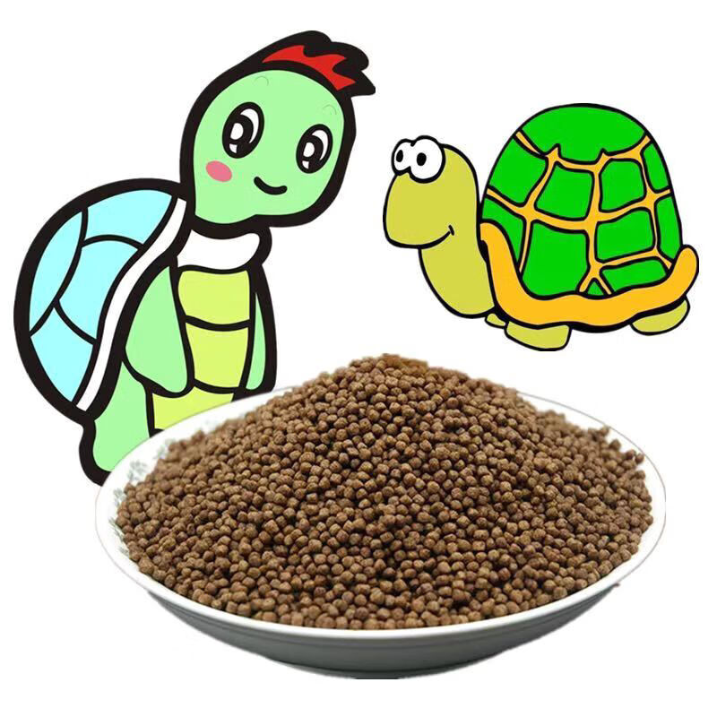正宗斑点乌龟外池龟满天星龟星点龟深水龟宠物饲料 3-4cm 一个【图片