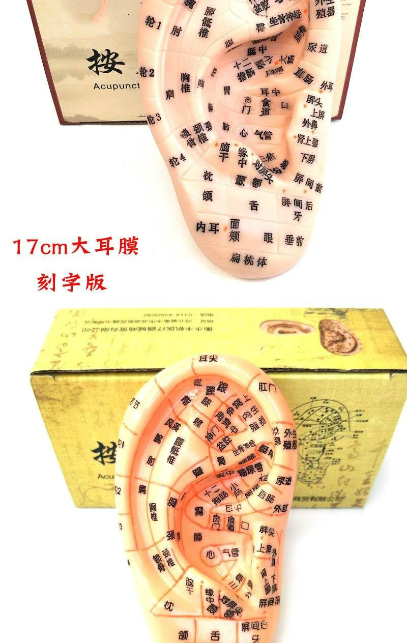 耳穴贴经络通耳贴耳穴贴耳穴压豆耳穴贴磁珠耳穴压豆耳贴磁珠按摩耳