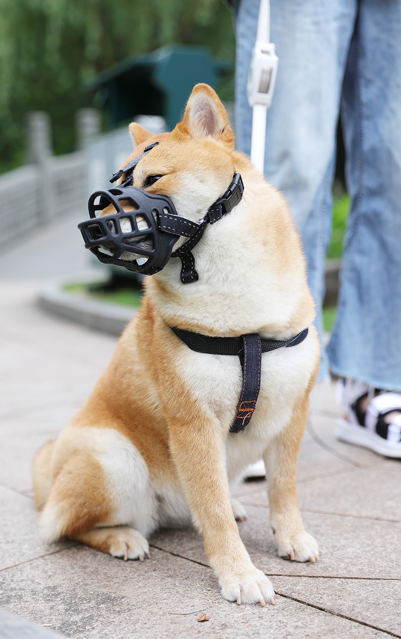 狗狗嘴套防咬叫乱吃口罩小型大型犬宠物止吠器泰迪用品狗套笼狗罩升级