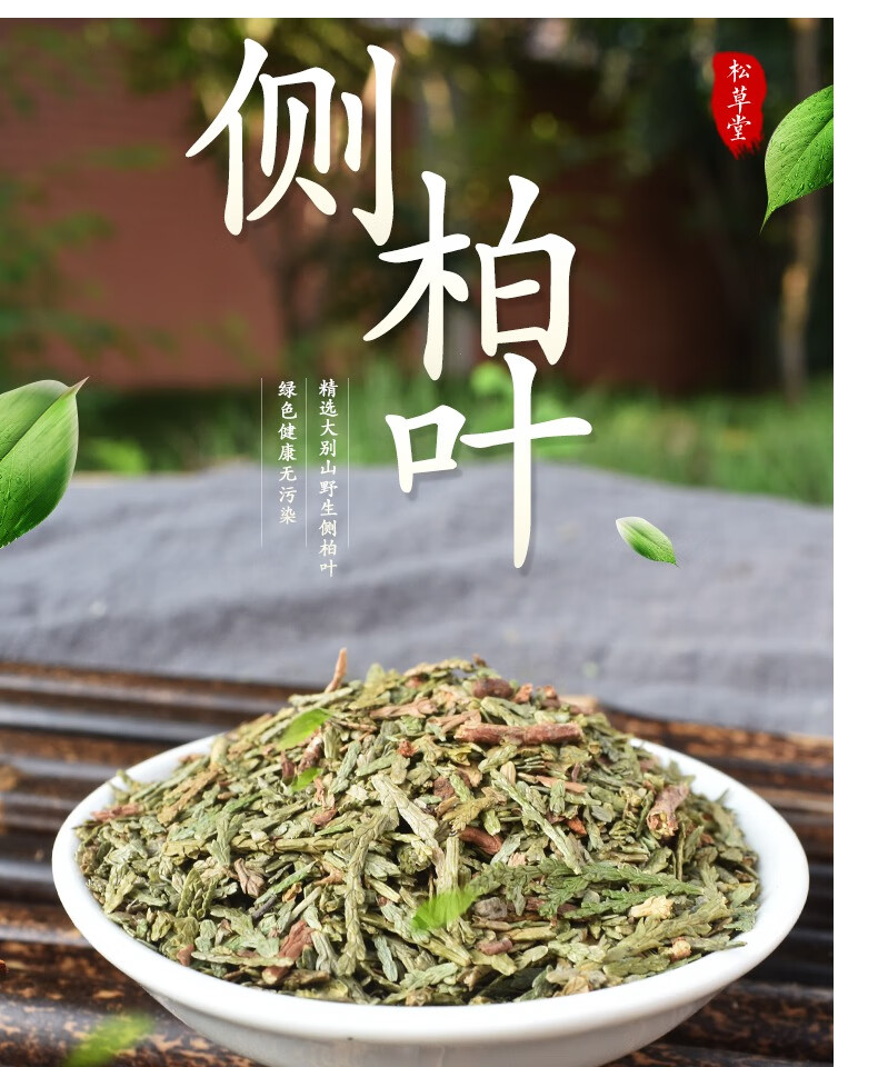 北京同仁堂侧柏叶中药材500g克新鲜晒干泡酒可洗头扁柏叶丛柏叶