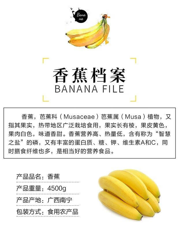 精选广西土香蕉新鲜香蕉芝麻蕉banana清甜味青蕉无催熟剂5斤香蕉