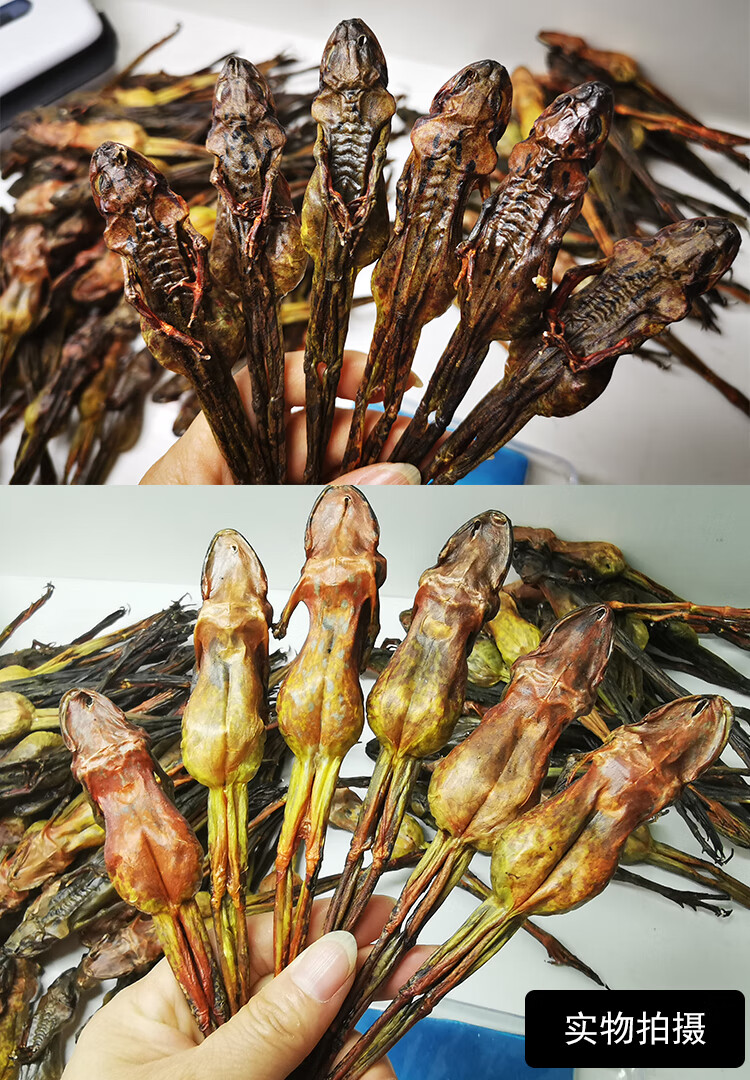 蛤蟆干油雪蛤整只正宗东北林蛙雪蛤干膏哈什蚂干货12克【图片 价格