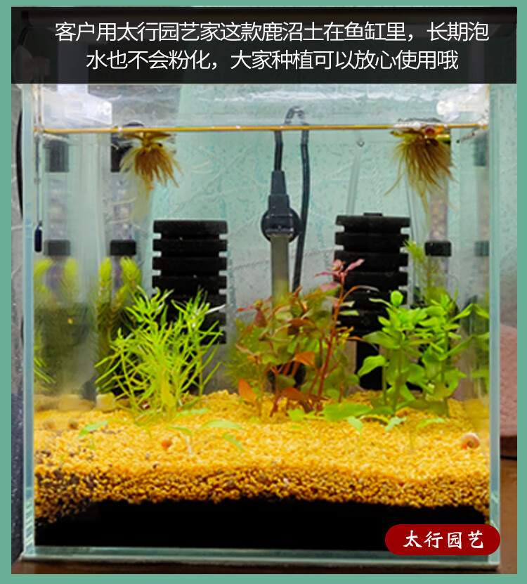 花心思鹿沼土颗粒日本进口鹿沼石多肉铺面杜鹃专用微酸性盆栽种植营养