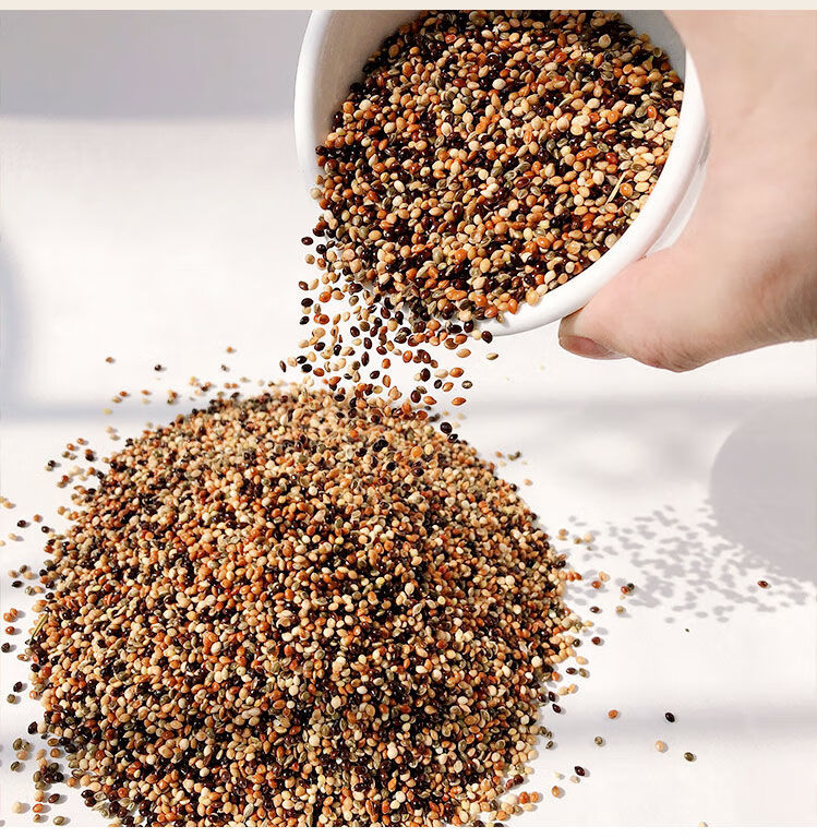 五色黍子带壳小米活体鹦鹉鸟食虎皮牡丹玄凤文鸟鸟粮饲料黄谷子2500g