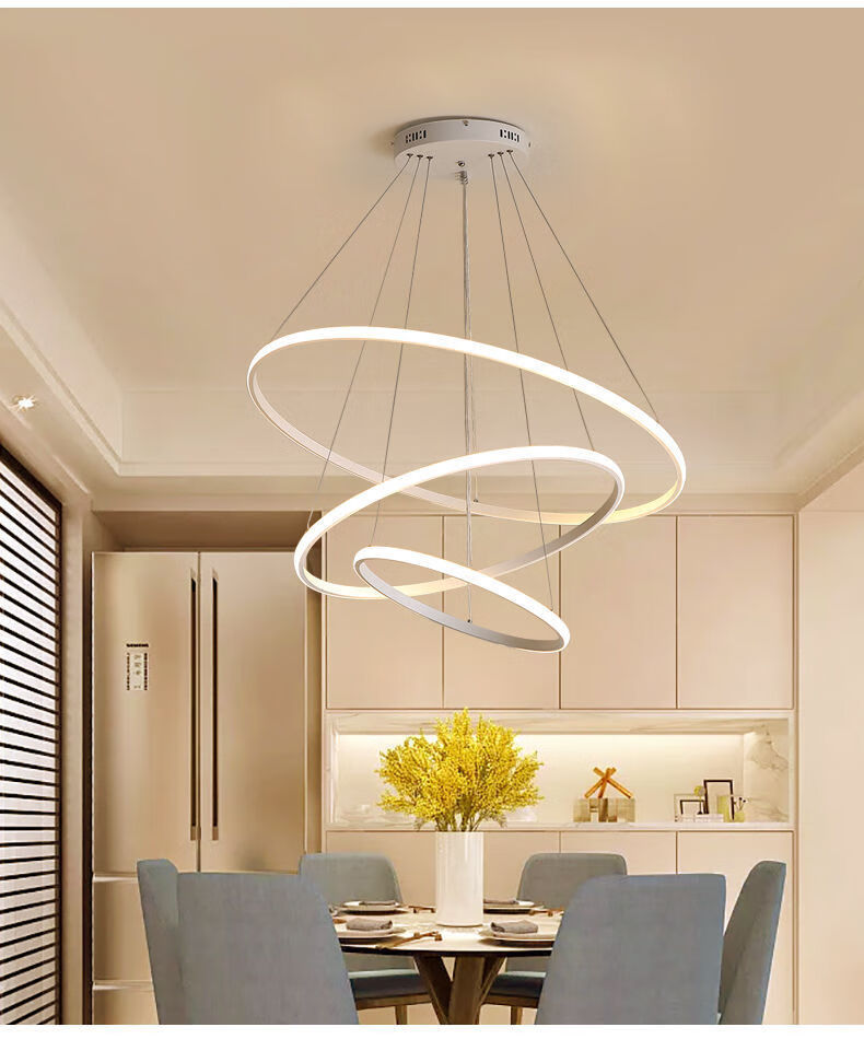 世朵shiduo餐厅吊灯三圈吊环个性创意餐吊灯鱼线网红吊灯led灯具