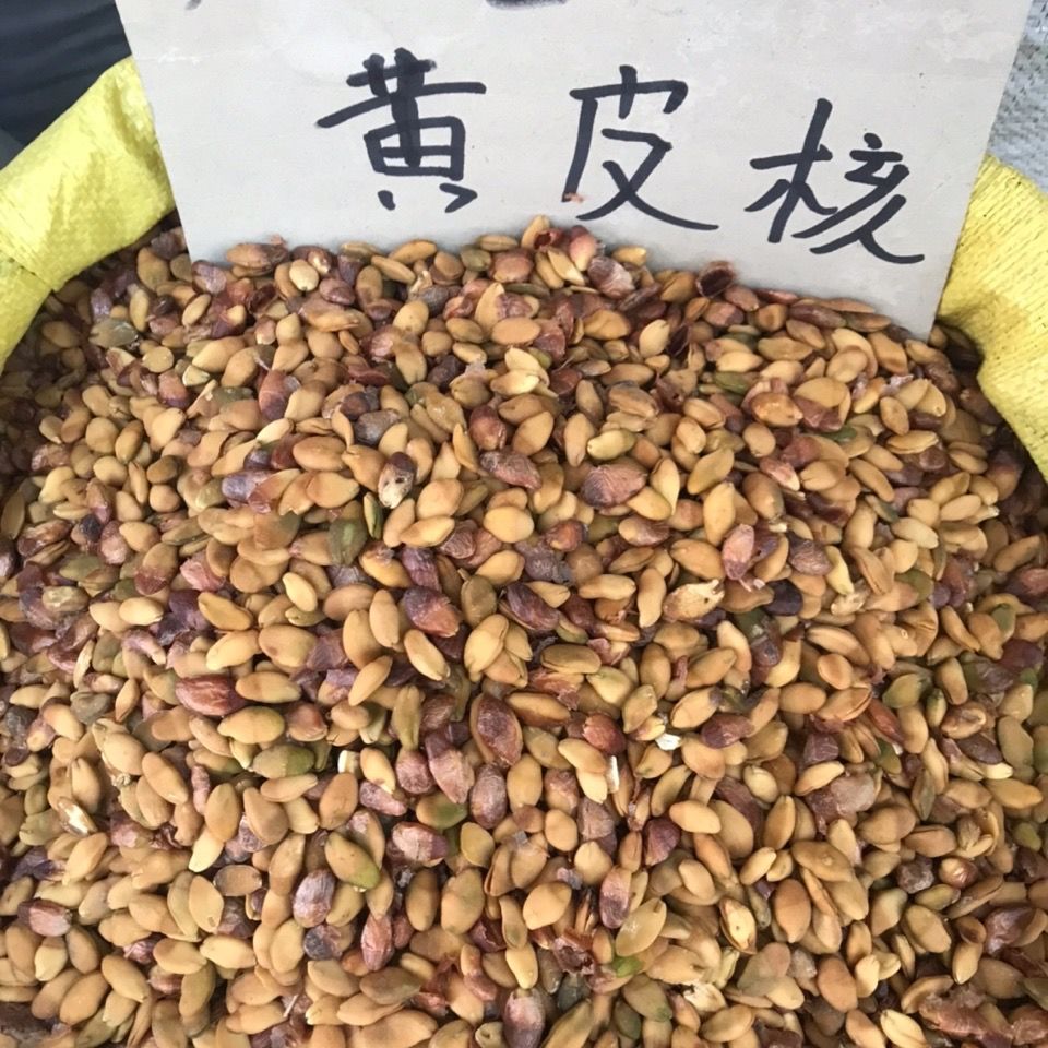 农家黄皮核正宗黄皮核500克500g