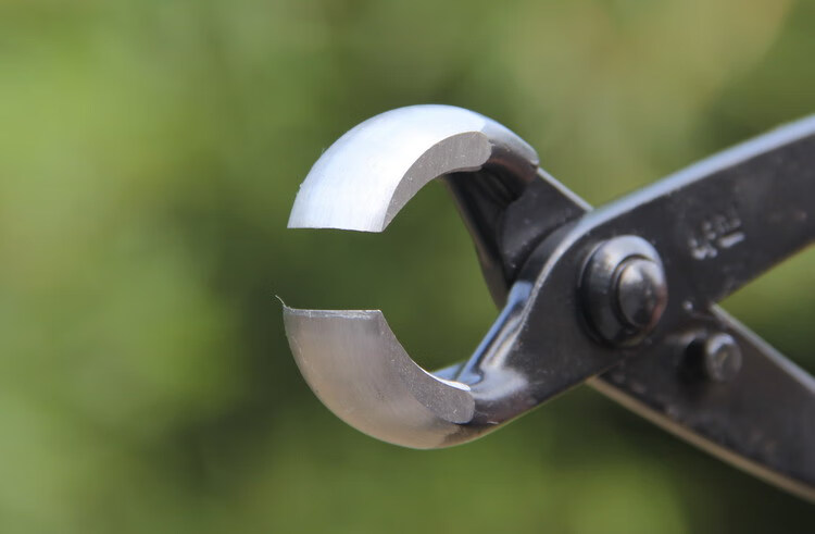 球节剪球形剪树瘤树节修剪钳盆景工具制作养护盆栽工具b12球节剪200mm