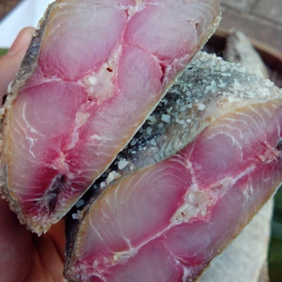 广东梅香臭马鲛鱼500g霉香马交鱼梅马胶臭咸鱼整鱼茄子煲真空 2.