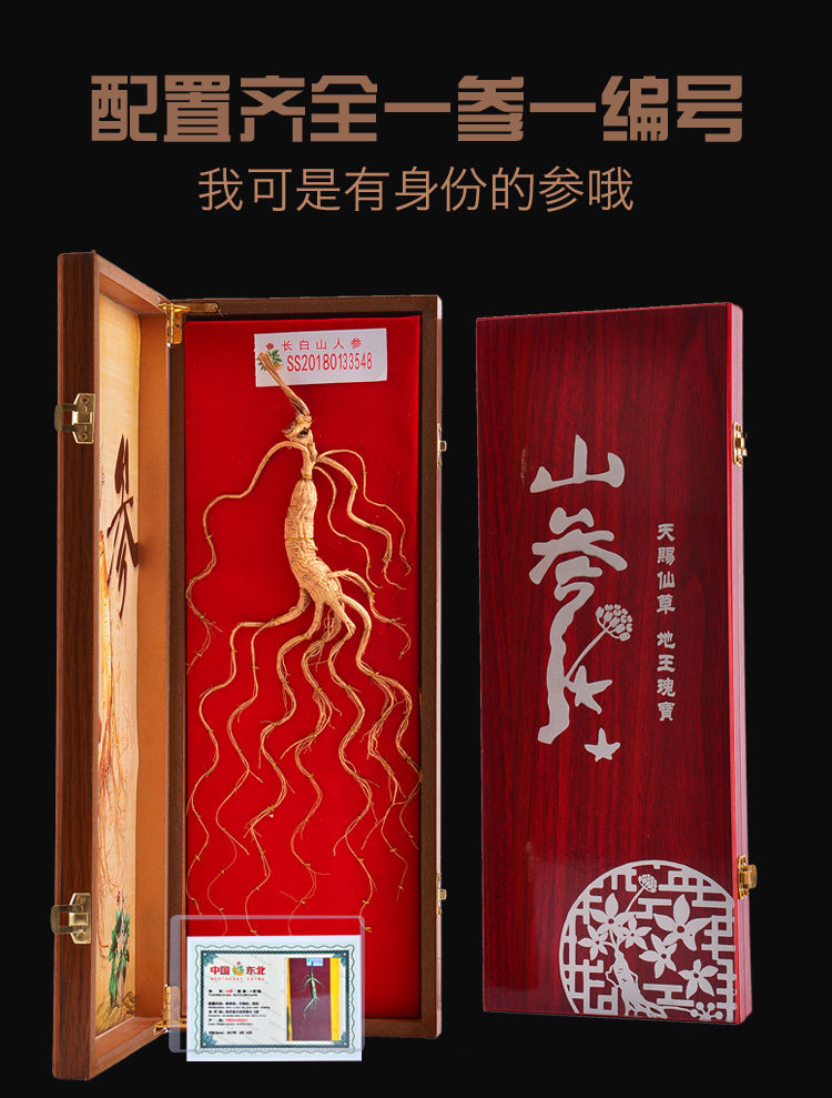 人参山参礼盒人参长白山人参礼盒林下参山参东北野山参礼盒人参一盒装