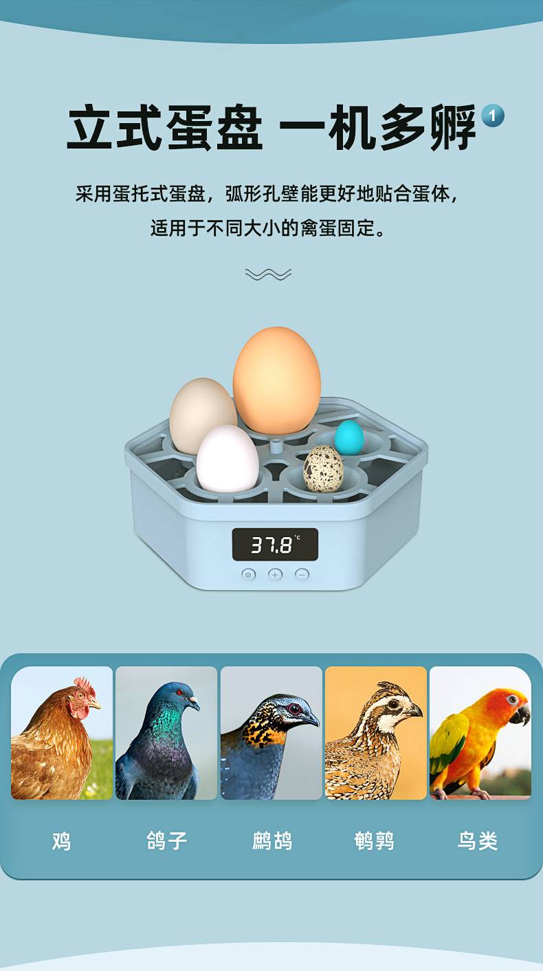 孵化器全自动家用型孵蛋器1枚小鸡水床孵化器小型家用型儿童孵化机