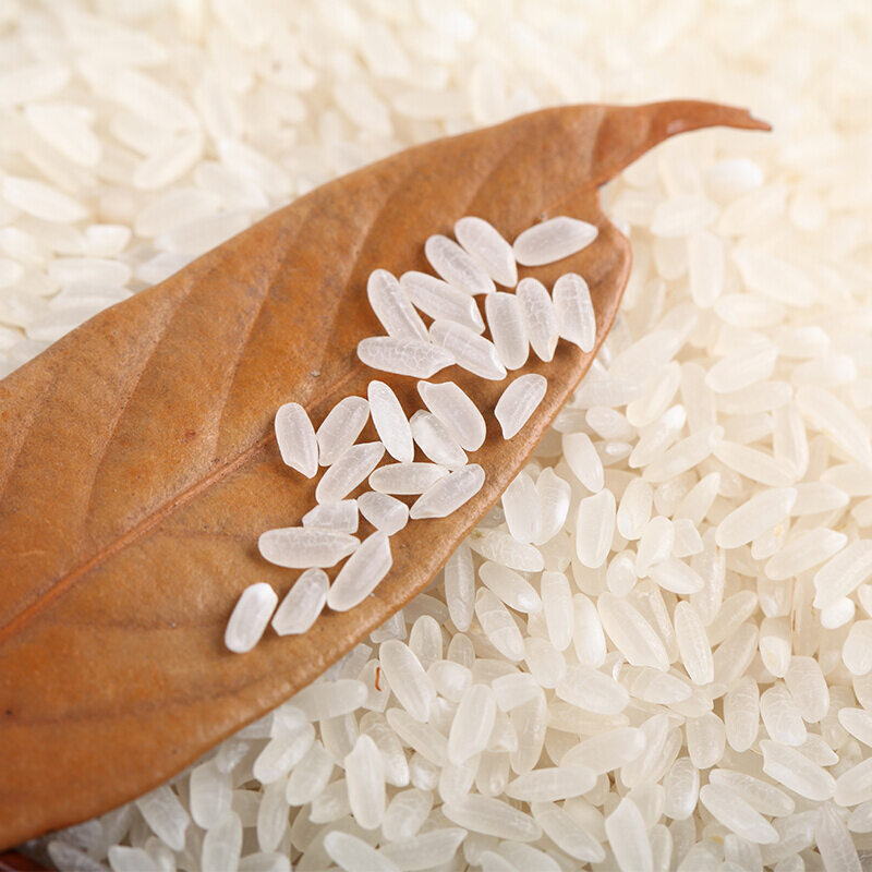 云南小毕朗遮放贡米10kg云南特产大米德宏遮放贡米香软稻谷新米20斤小