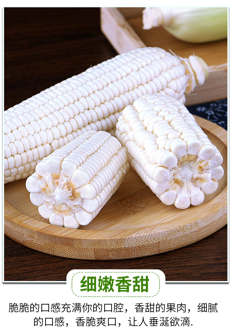 云南牛奶白糯玉米新鲜应当季现摘苞谷水果爆浆甜嫩白玉米棒整箱精选3