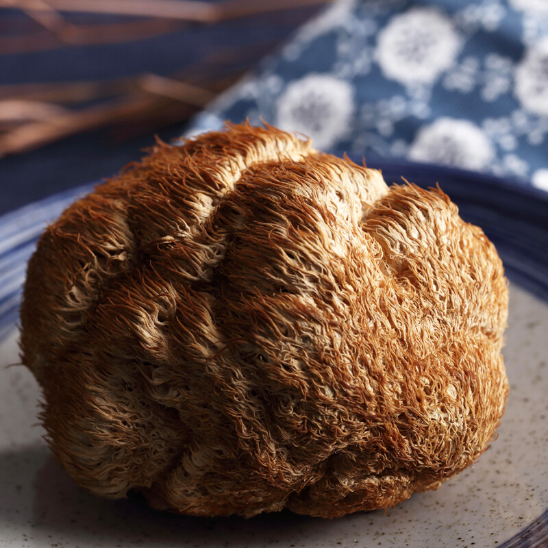 新鲜猴头菇如何挑选_新鲜猴头菇如何挑选好坏