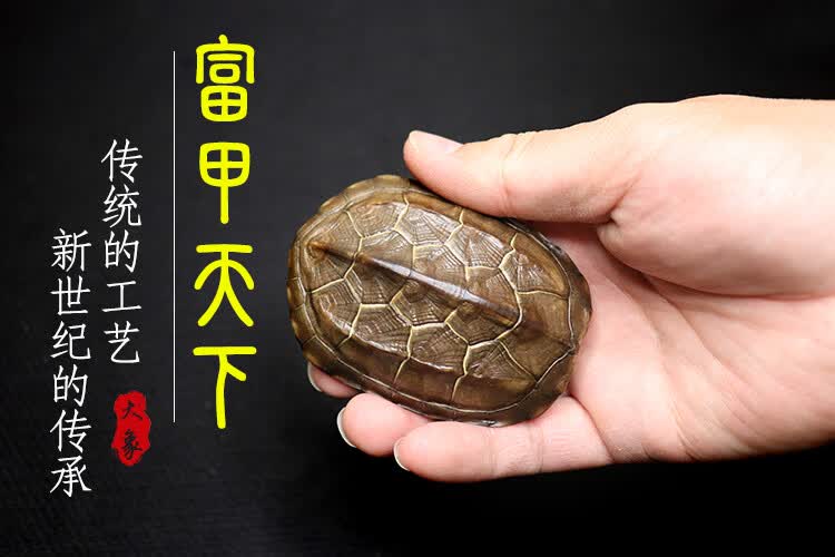 京选品质乌龟壳手把件天然完整干净乌龟壳文玩把玩盘玩把件可随身携带