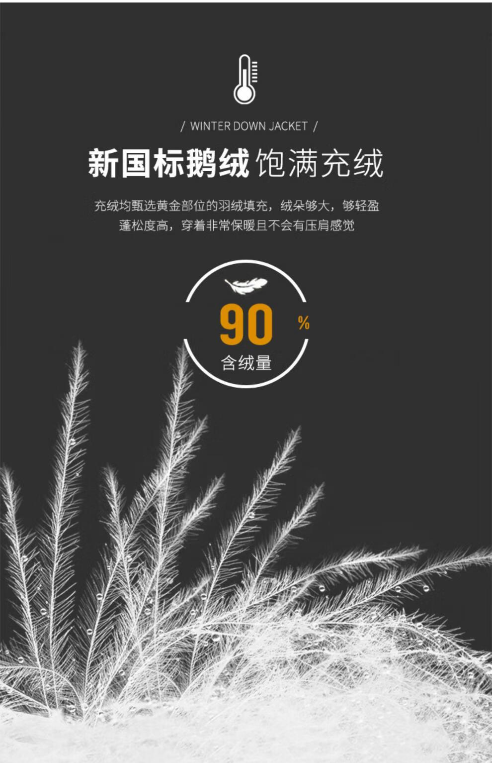 ddfd1651629be9f1.jpg