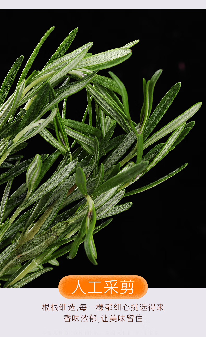采缇迷迭香西餐香料新鲜植物香料煎牛排用调味调料用品可食用500g250g
